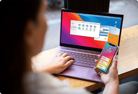 Web Development Services